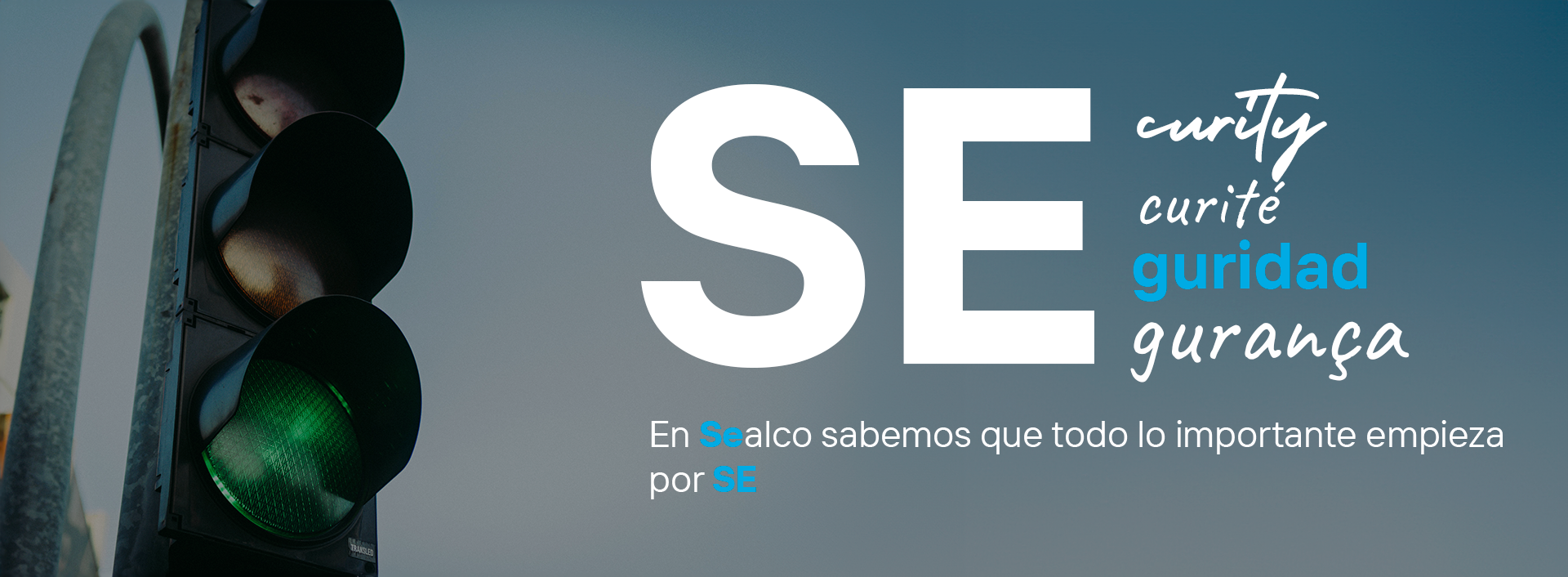 Seguridad Grupo Sealco