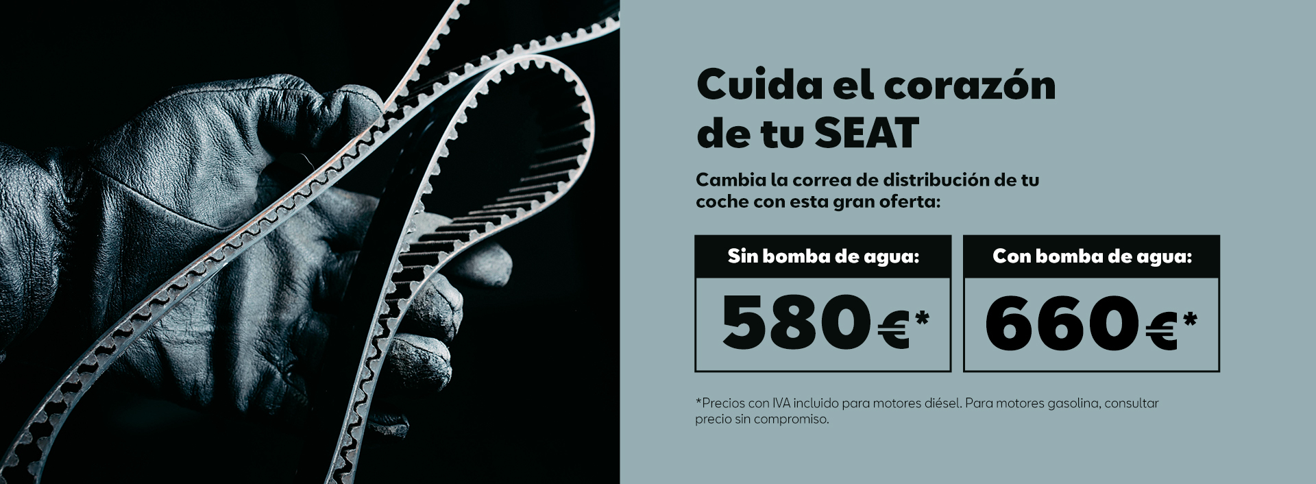 Banner distribución